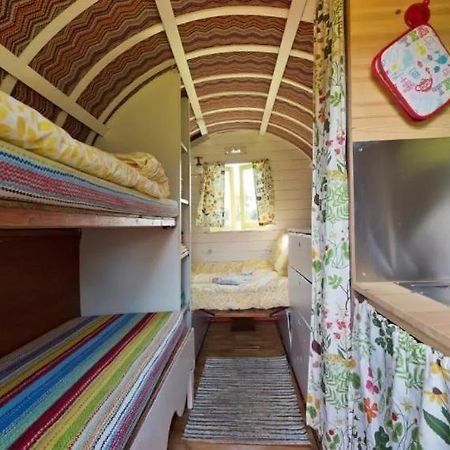 Clissmann Horse Caravans Glamping Rathdrum Exteriér fotografie