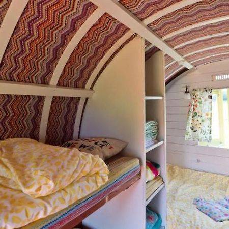 Clissmann Horse Caravans Glamping Rathdrum Exteriér fotografie