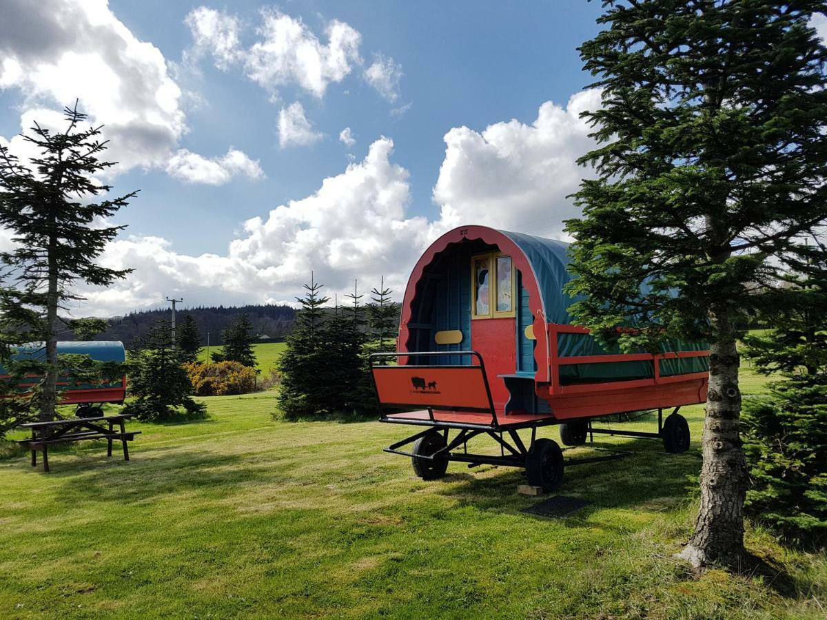 Clissmann Horse Caravans Glamping Rathdrum Exteriér fotografie
