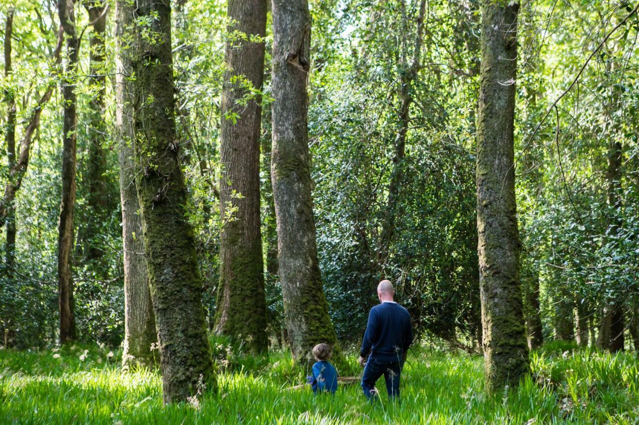 Clissmann Horse Caravans Glamping Rathdrum Exteriér fotografie
