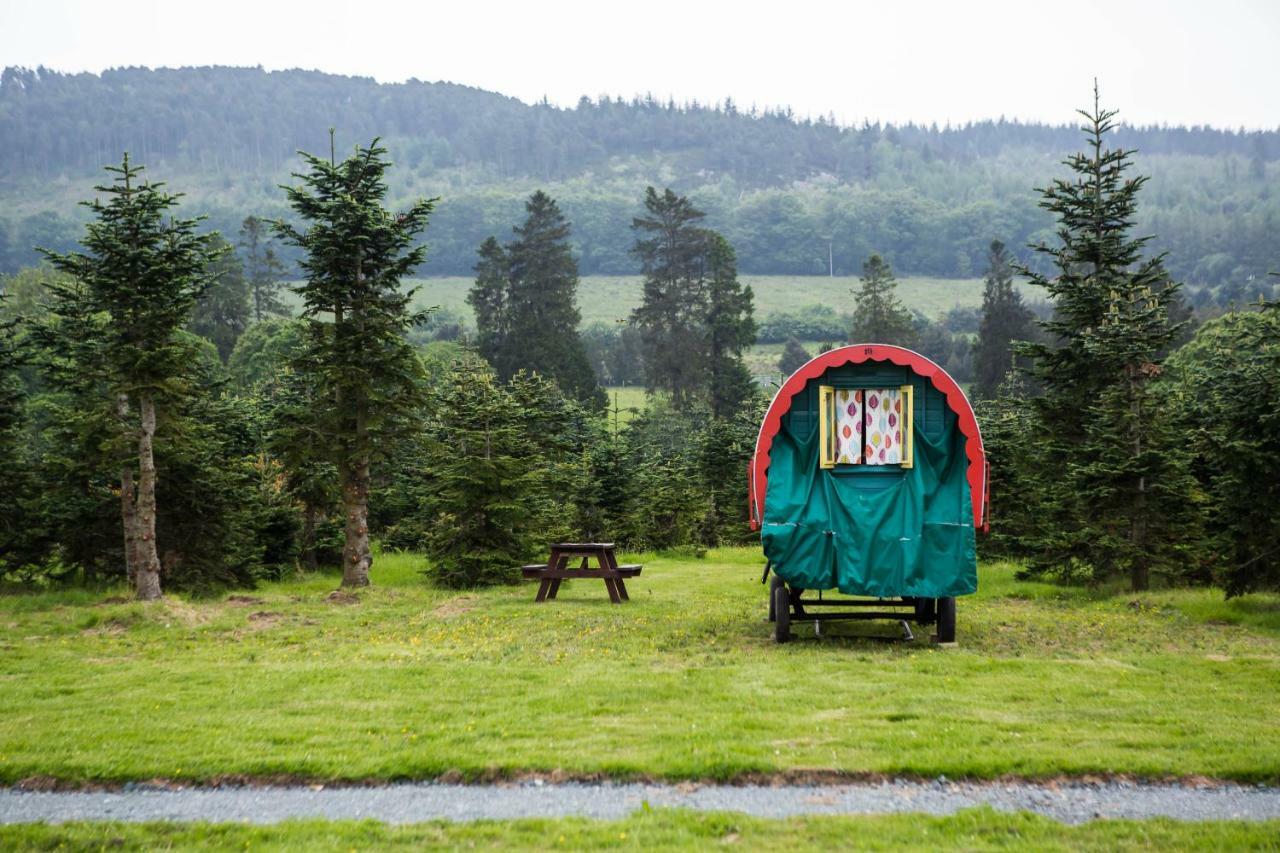 Clissmann Horse Caravans Glamping Rathdrum Exteriér fotografie