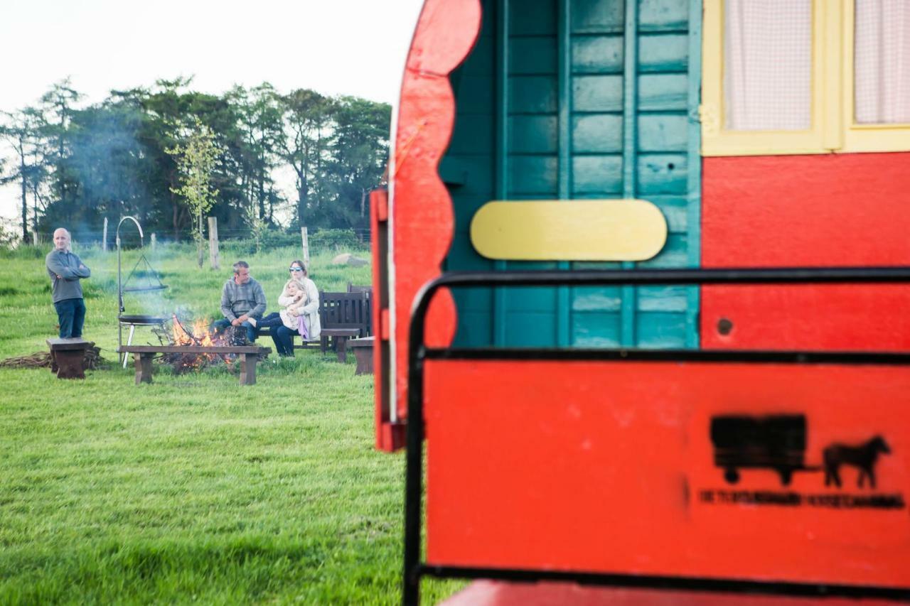 Clissmann Horse Caravans Glamping Rathdrum Exteriér fotografie
