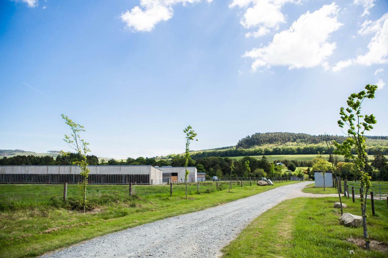 Clissmann Horse Caravans Glamping Rathdrum Exteriér fotografie